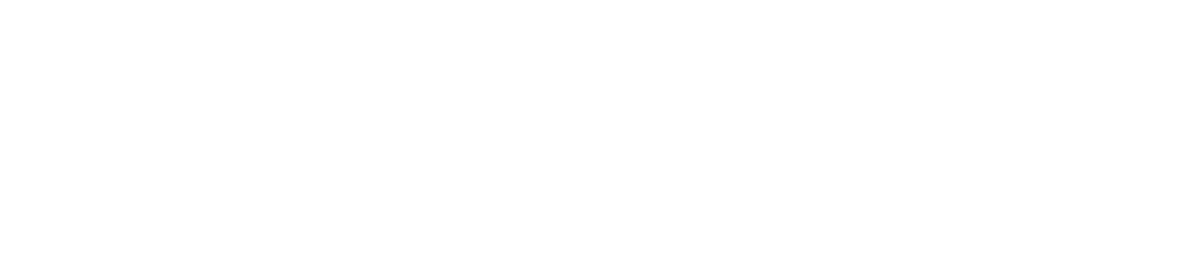DiscoLike API
